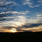 Letztes Tageslicht im Moor (Weidmoos-Lamprechtshausen)