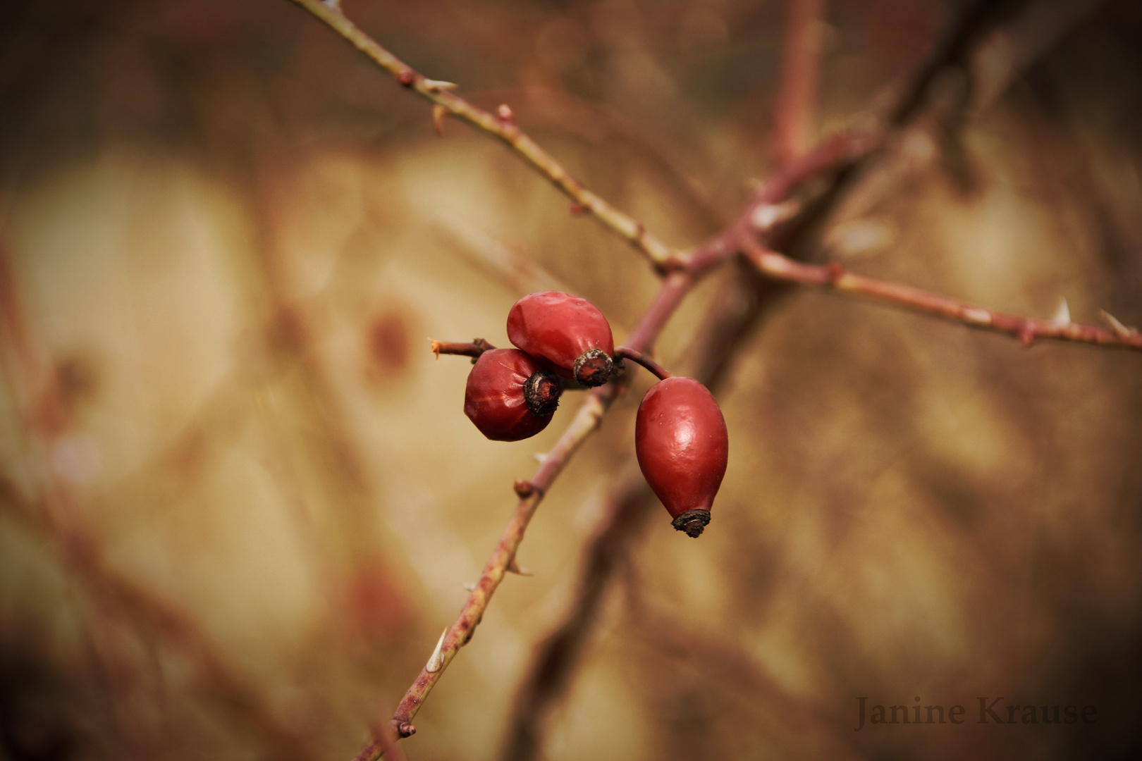 Letztes Überbleibsel vom Winter