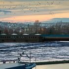 Letztes Wehr der Mosel in Koblenz, Hochwasser am 05. Feb 2021