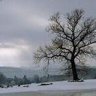 ...letztes Weiß