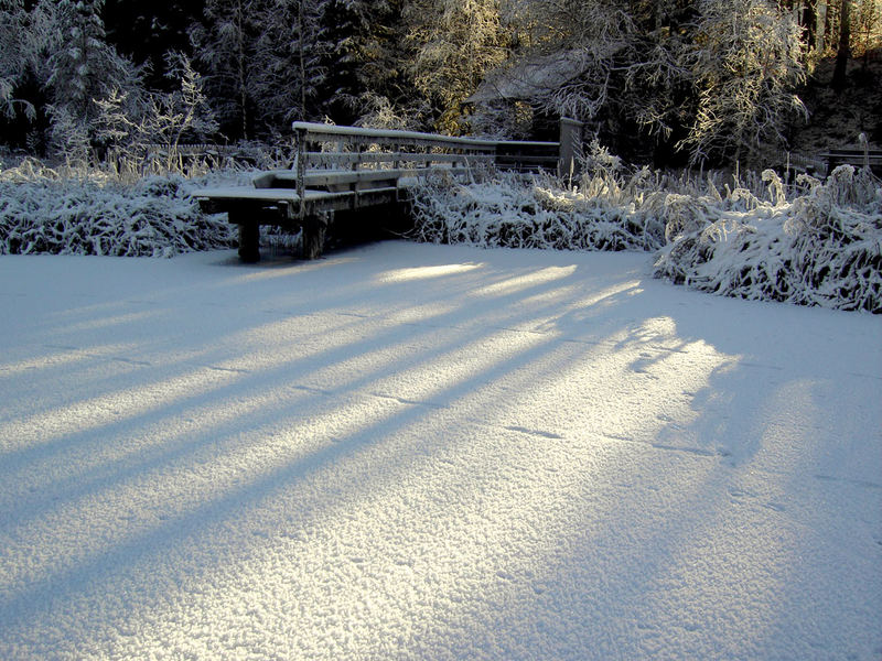 letztes Winterbild bevor der Frühling kommt