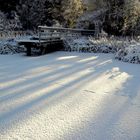 letztes Winterbild bevor der Frühling kommt