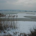 letztes Winterbild