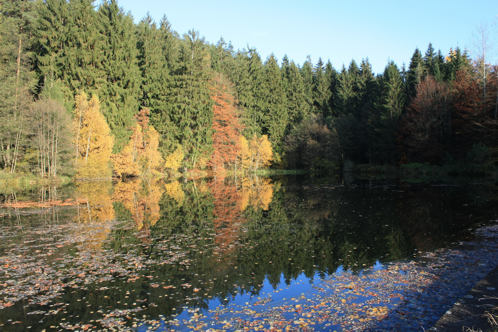 Leubengrund - Goldener Herbst