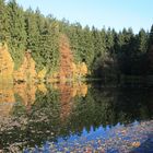 Leubengrund - Goldener Herbst