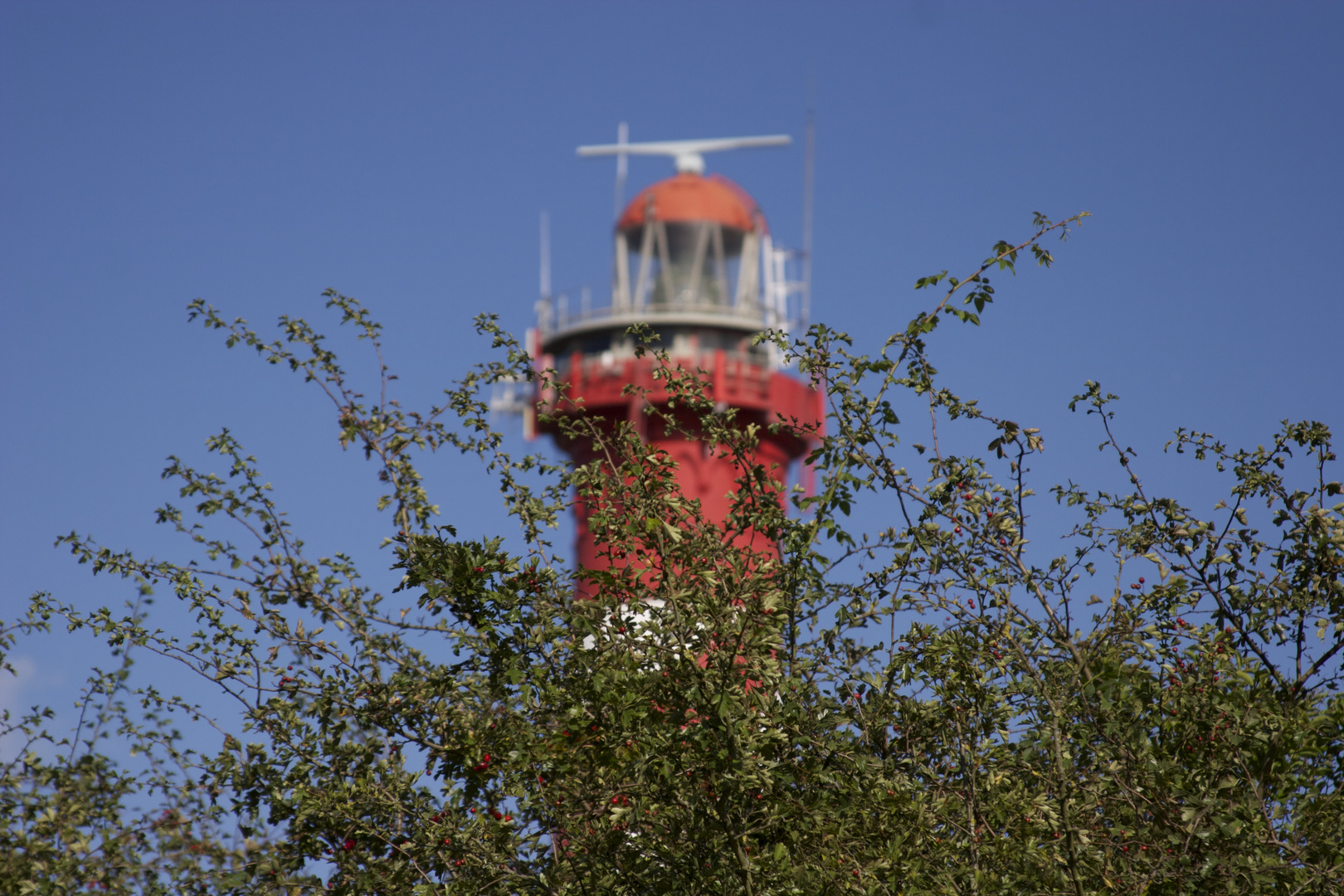 Leucht - Holland