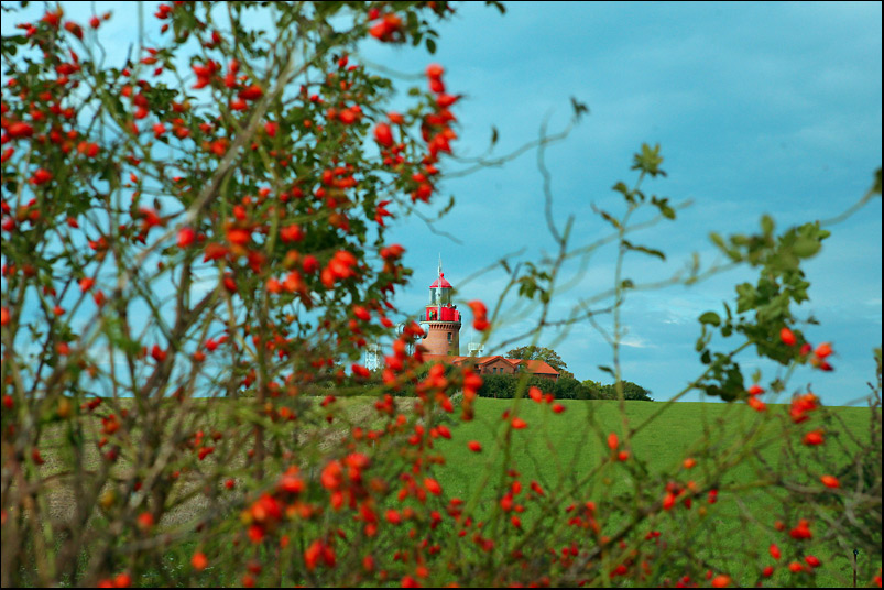 ...leucht.beeren...