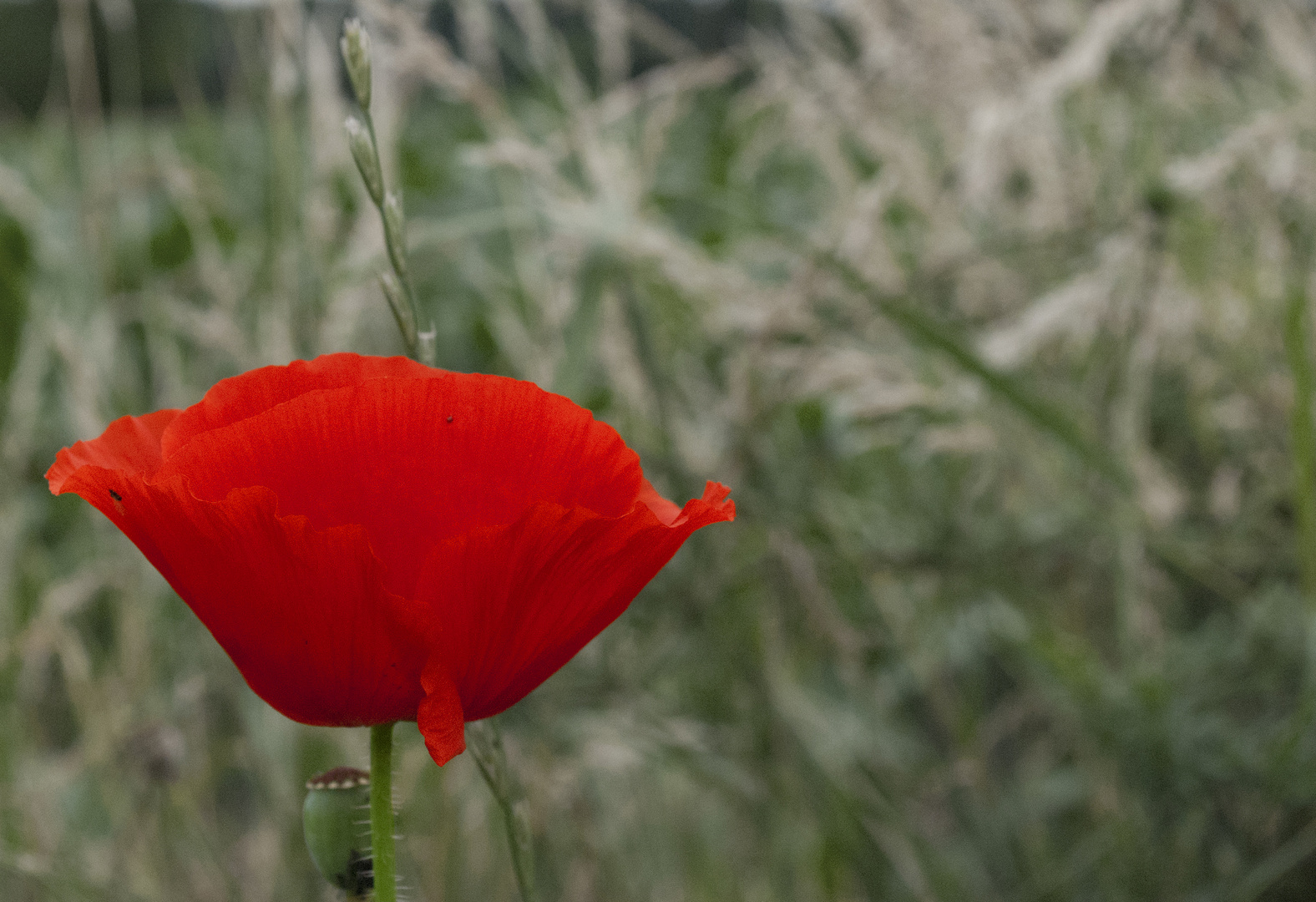 Leuchtboje.