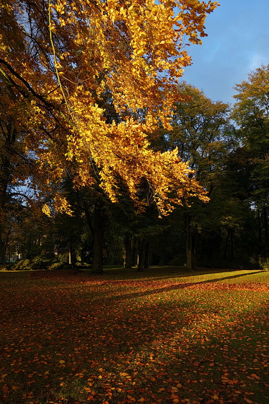 Leuchten