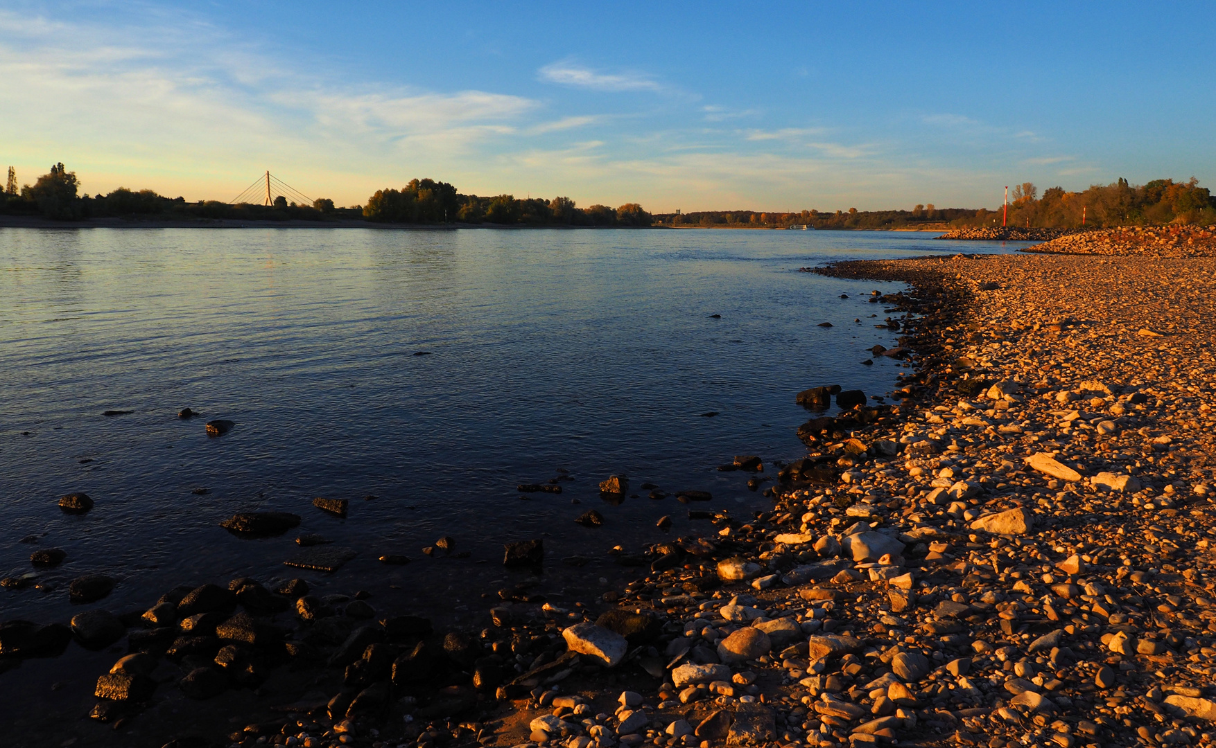 Leuchten am Rhein ...