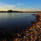 Leuchten am Rhein ...