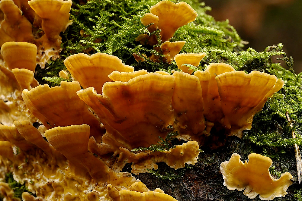 Leuchten bei Nieselwetter