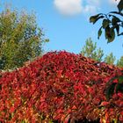 Leuchten des Herbstes