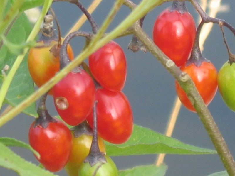 Leuchten im Grau