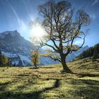 Leuchten im Karwendel