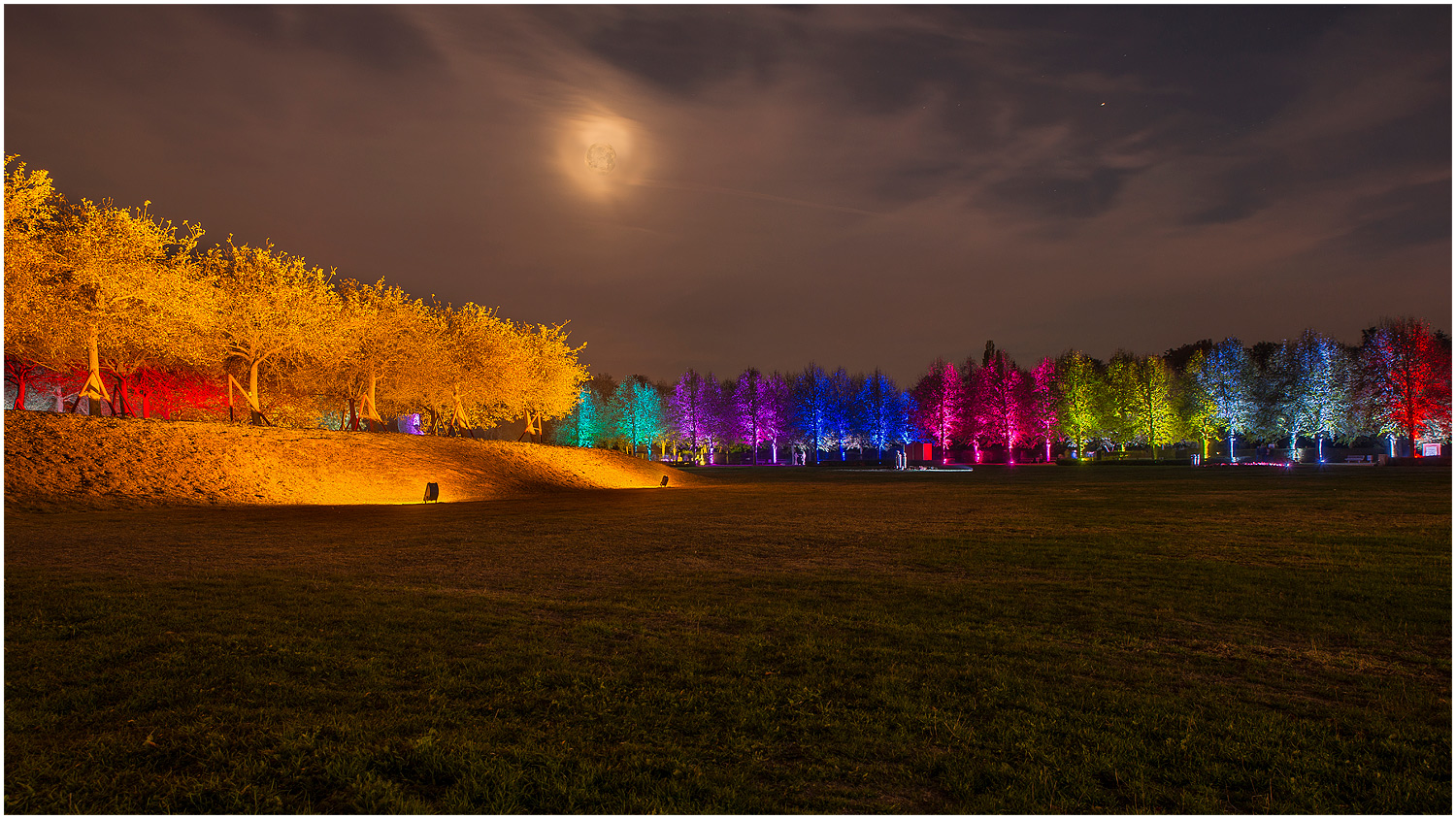 Leuchten im Park