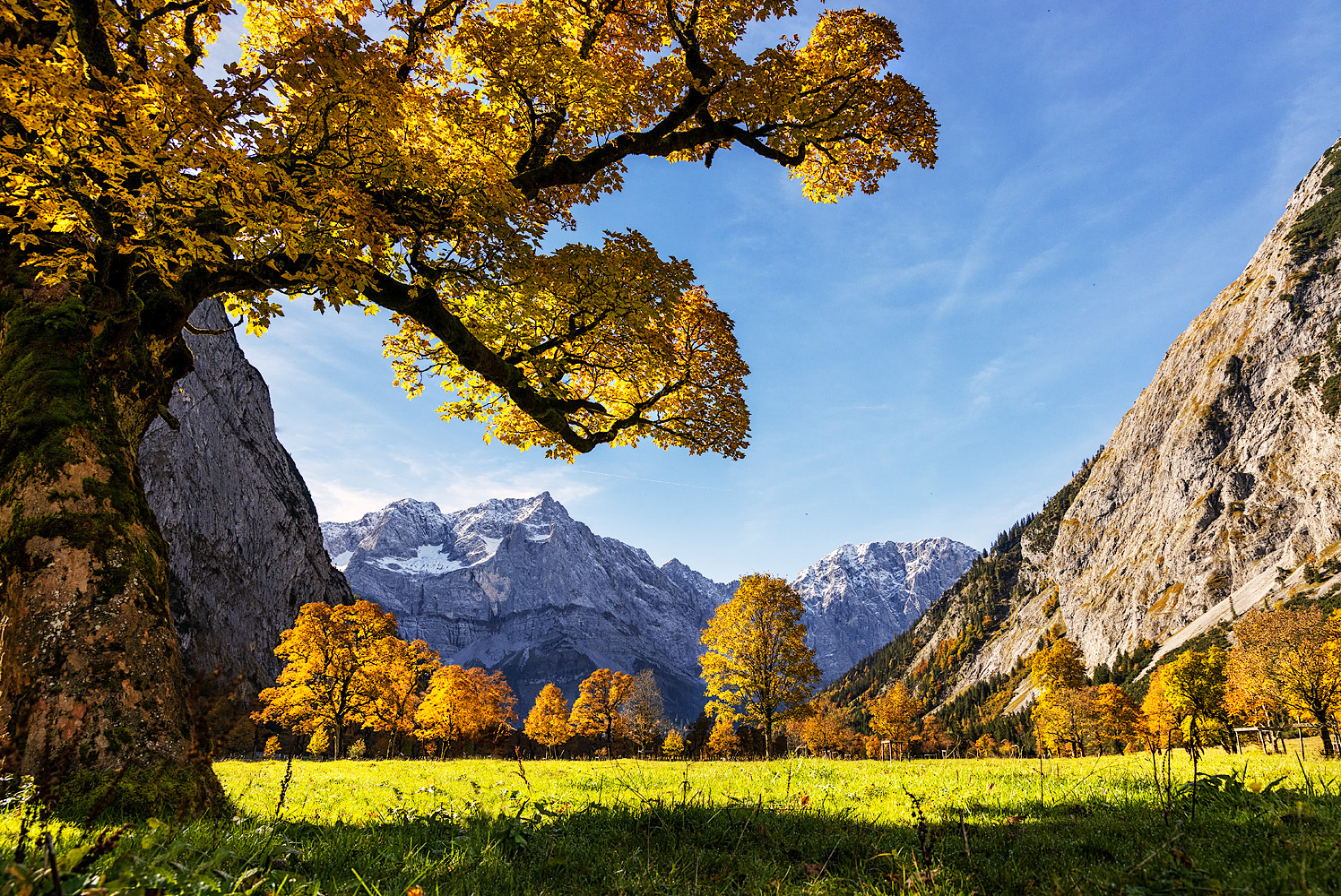 leuchten im tal