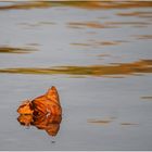 leuchten im weiher.......