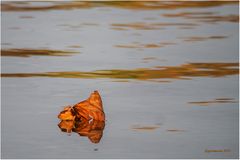 leuchten im weiher.......