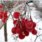 leuchten im Winter