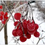 leuchten im Winter