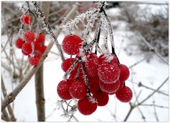 leuchten im Winter