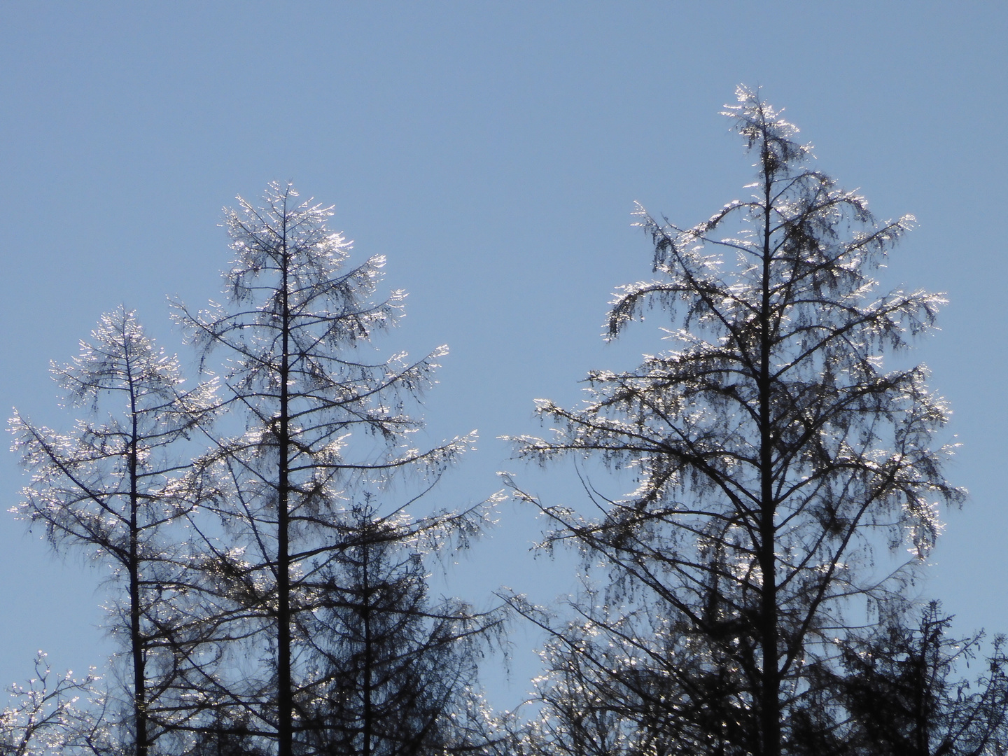 Leuchten wie ein Weihnachtsbaum