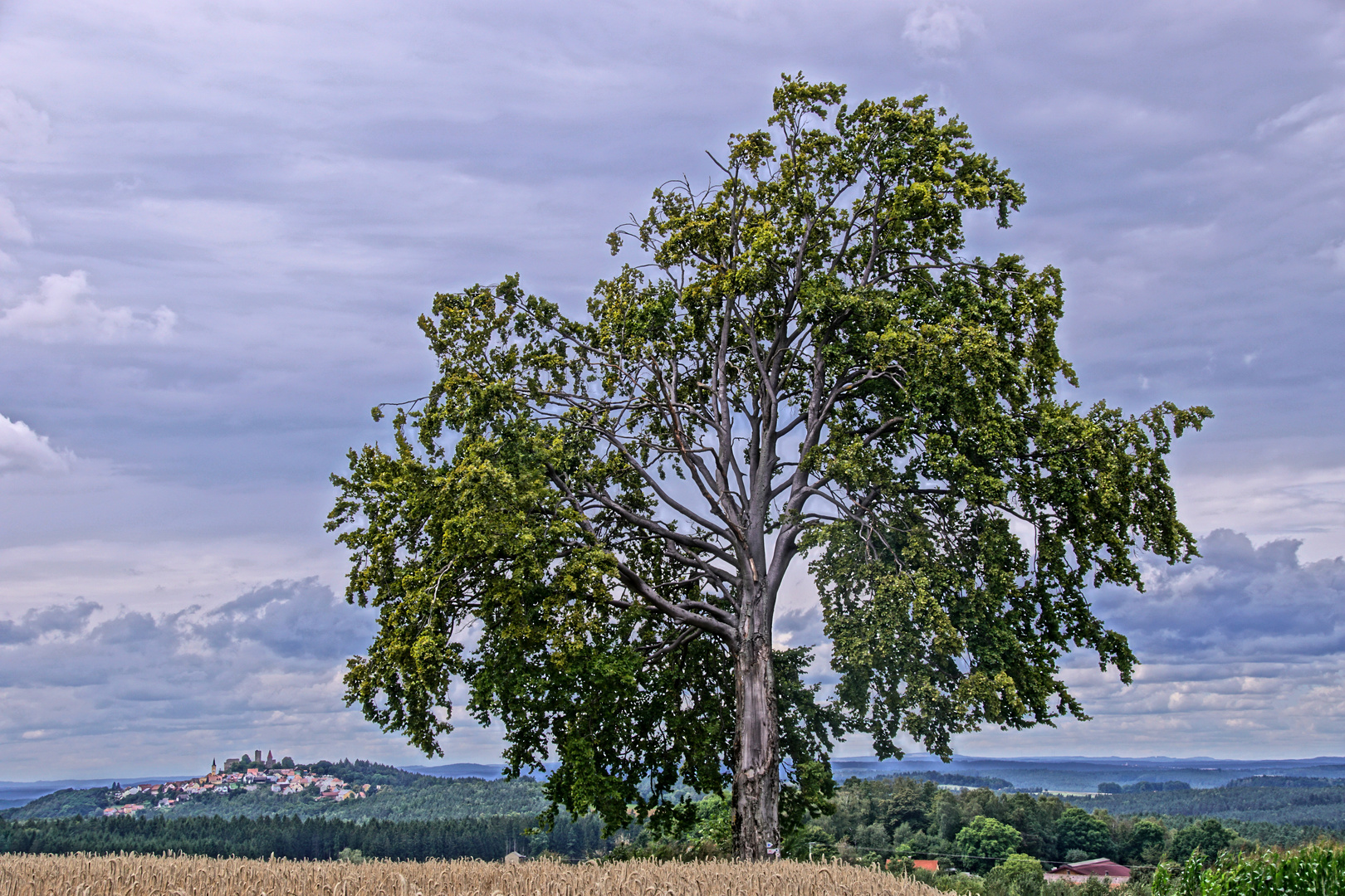 Leuchtenberg