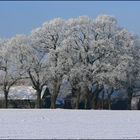 Leuchtenburg bei Bremen