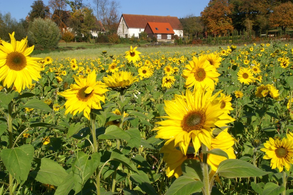 Leuchtend