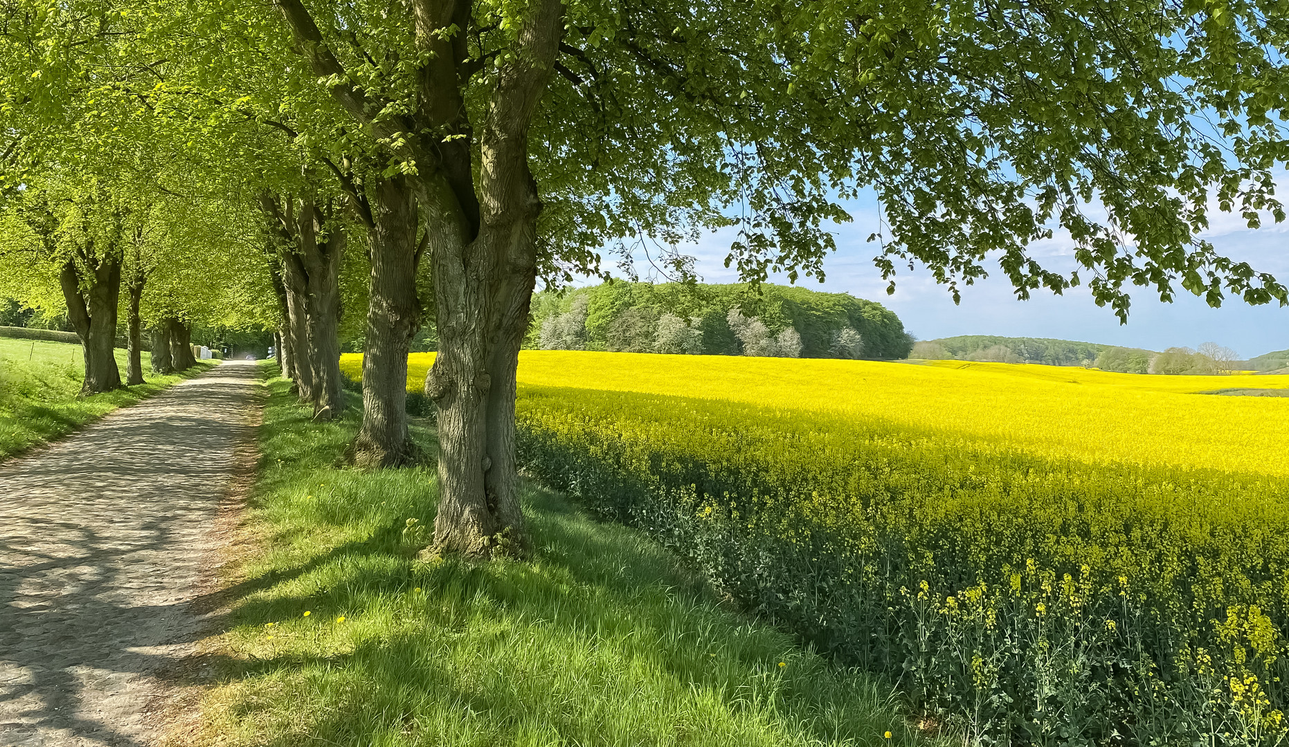 Leuchtend