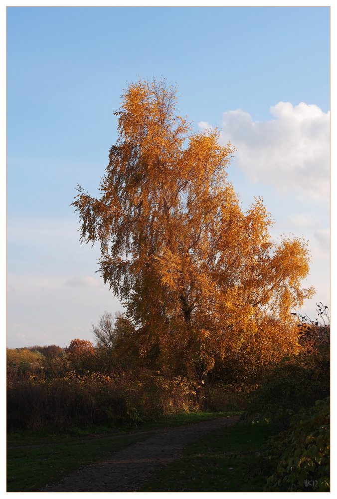 Leuchtend