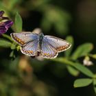 Leuchtend blau