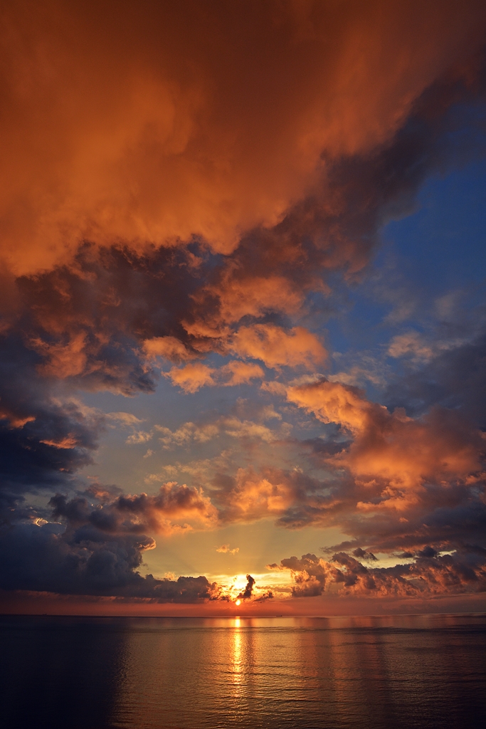 Leuchtend orange