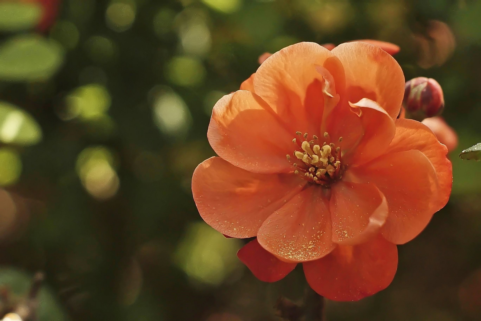 Leuchtend orange...