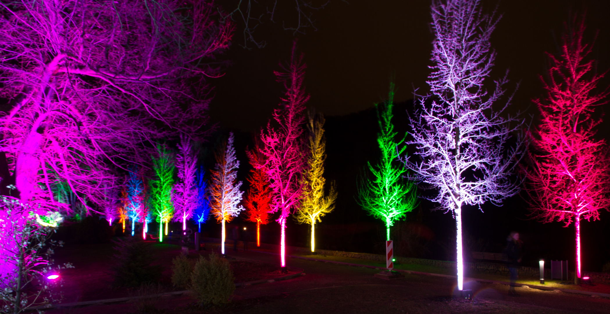 Leuchtende Bäume Foto & Bild landschaft, pflanzen, bäume Bilder auf