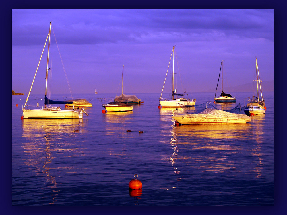 Leuchtende Boote am Bodensee/Hagnau