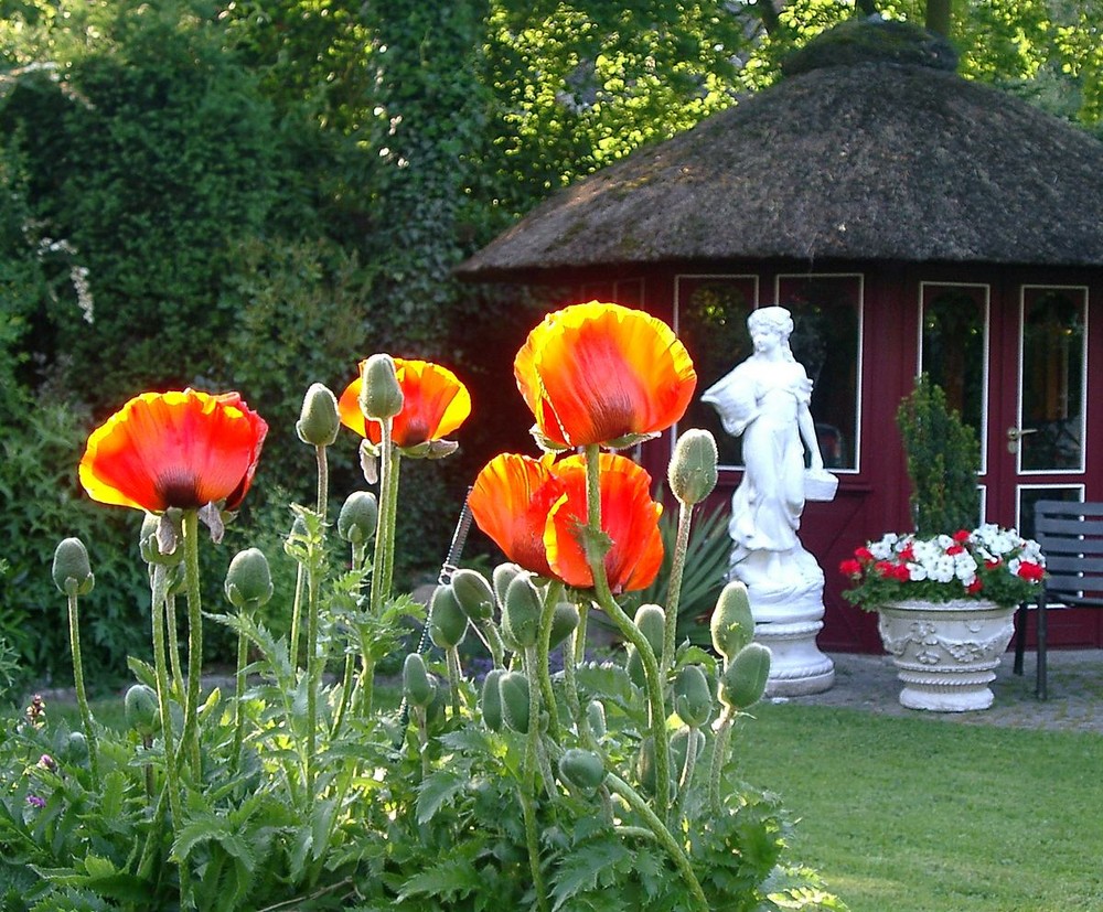 leuchtende Fackeln im Garten