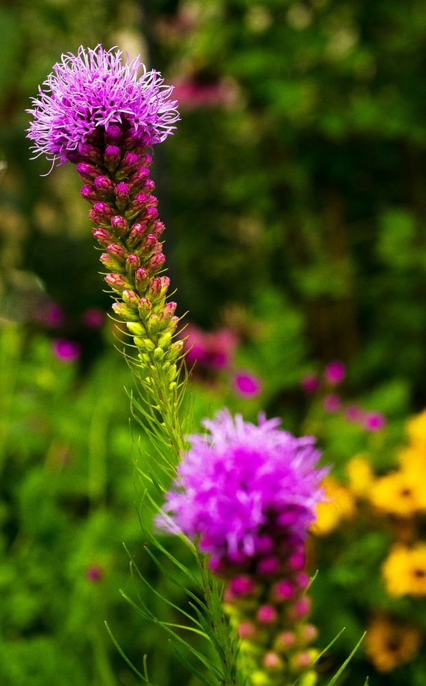 leuchtende Farben