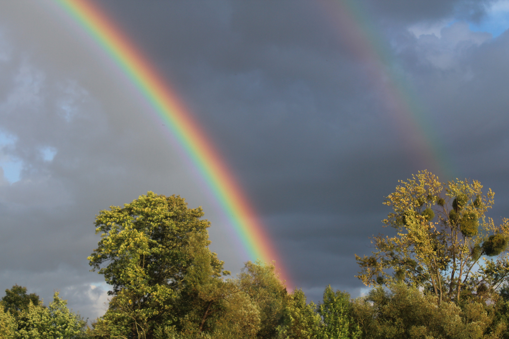 Leuchtende Farben