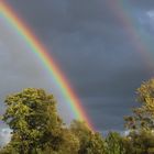 Leuchtende Farben