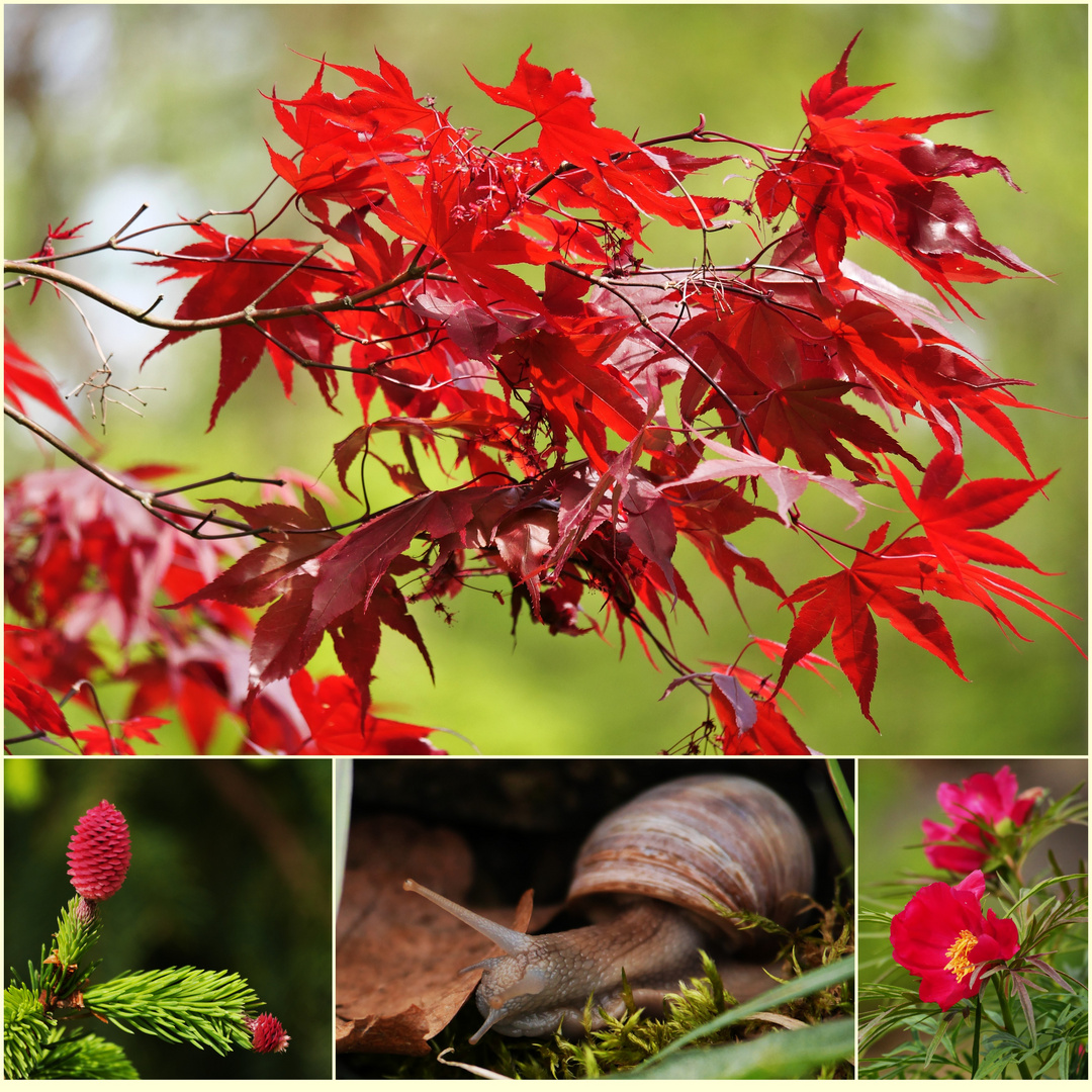 leuchtende Farben