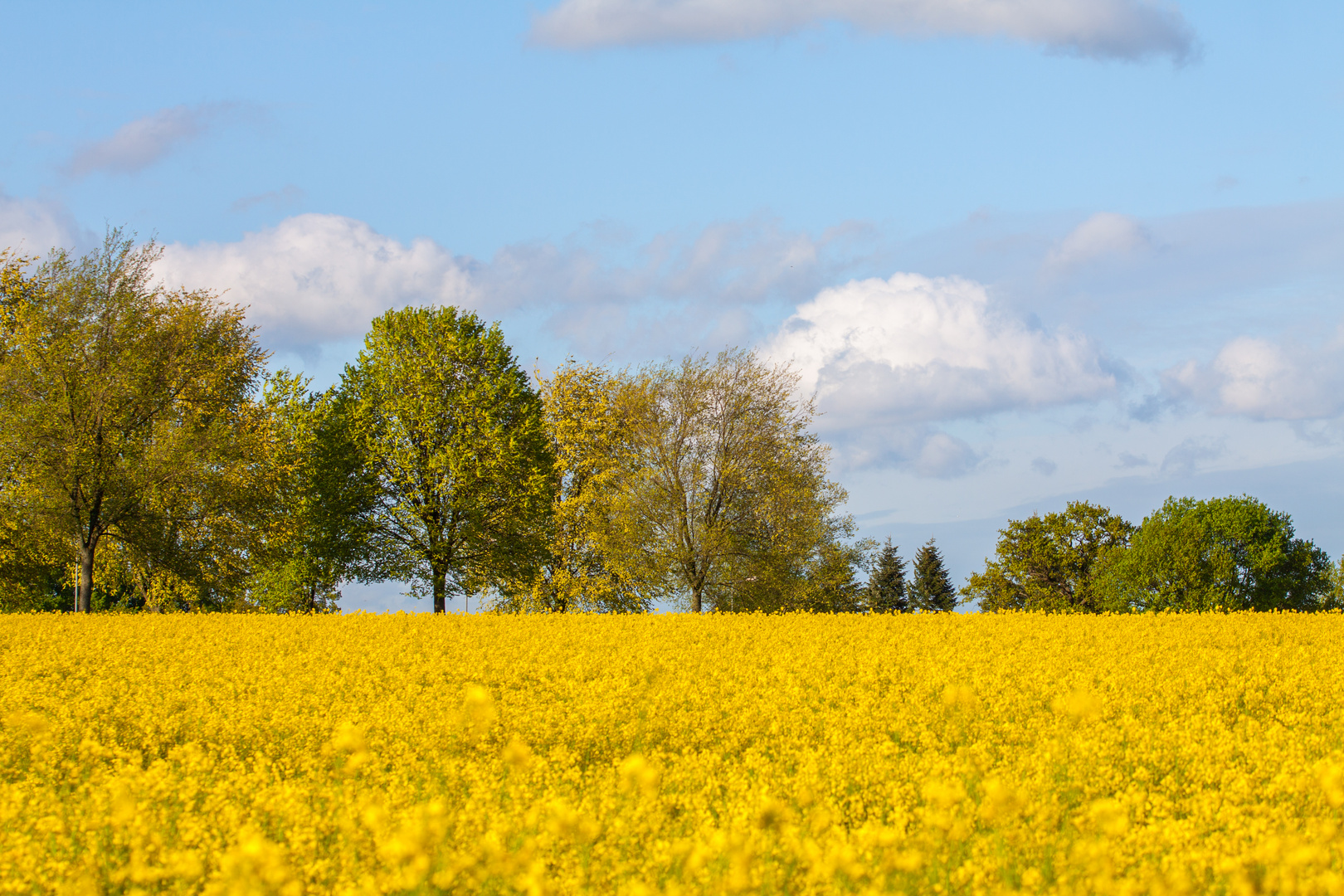 leuchtende Farben