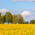 leuchtende Farben