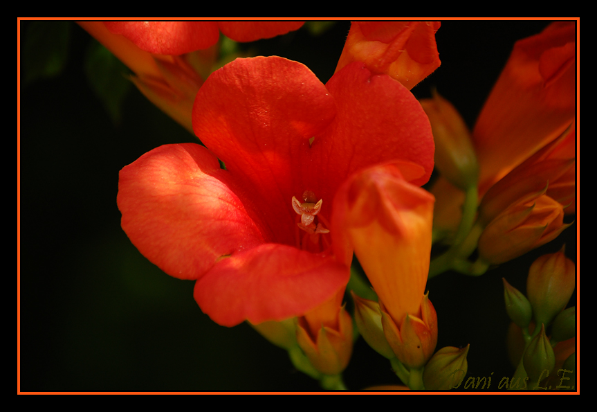 leuchtende Farben (2)