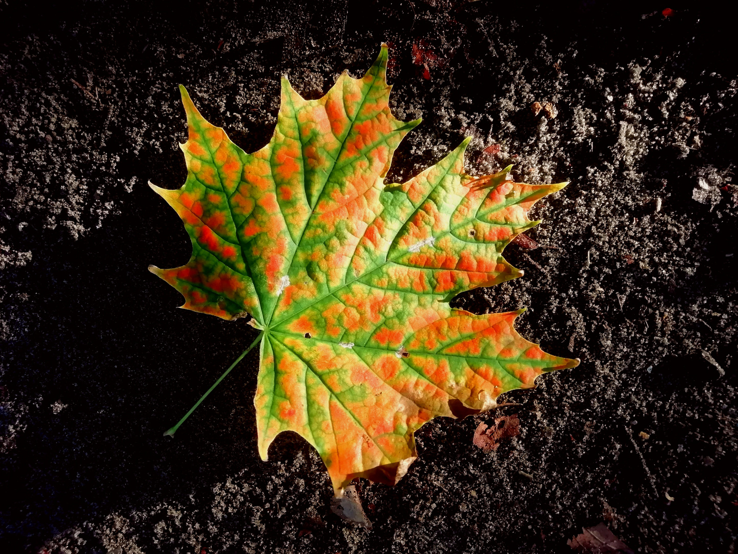 Leuchtende Farben 