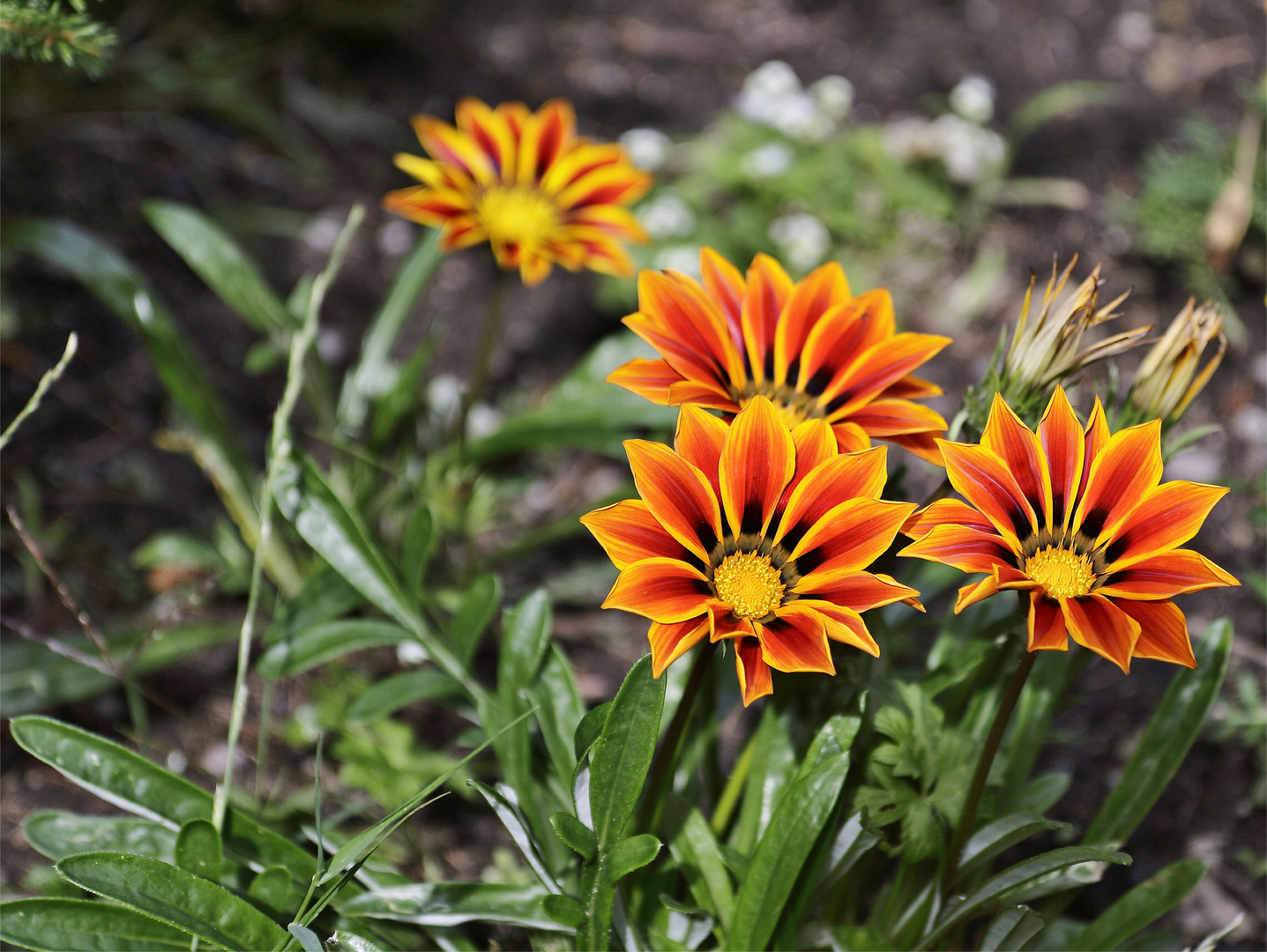 Leuchtende Farben