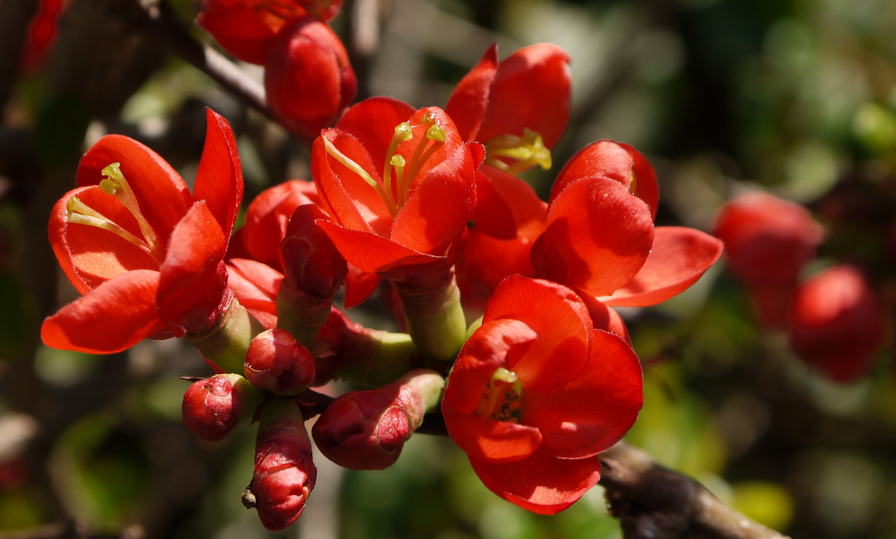 Leuchtende Farben