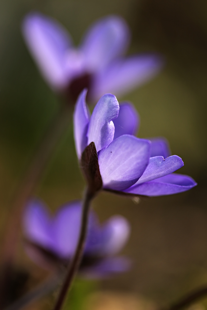 Leuchtende Farben