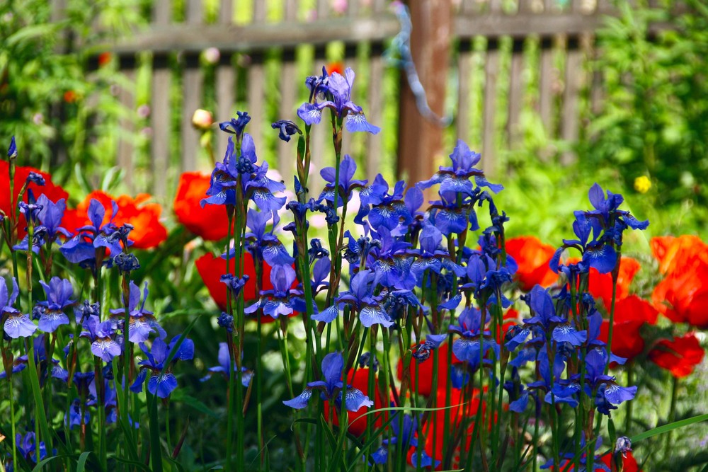 leuchtende Farben